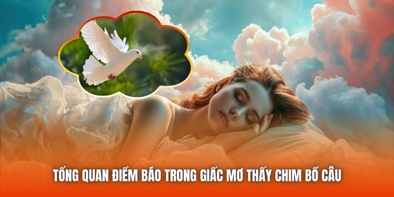 Tổng quan điềm báo trong giấc mơ thấy chim bồ câu