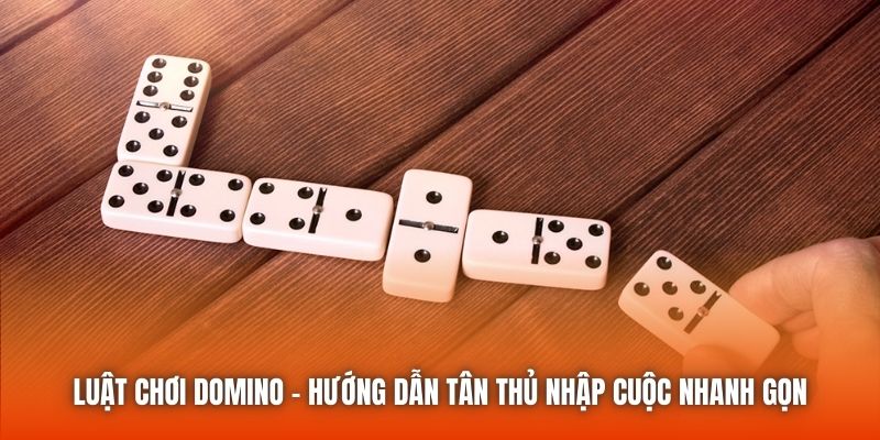 Luật Chơi Domino - Hướng Dẫn Tân Thủ Nhập Cuộc Nhanh Gọn