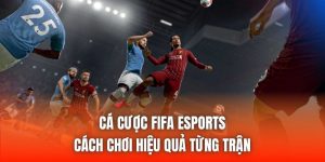 Cá Cược FIFA eSports | Cách Chơi Hiệu Quả Từng Trận
