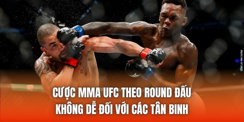 Cược MMA UFC theo round đấu không dễ đối với các tân binh
