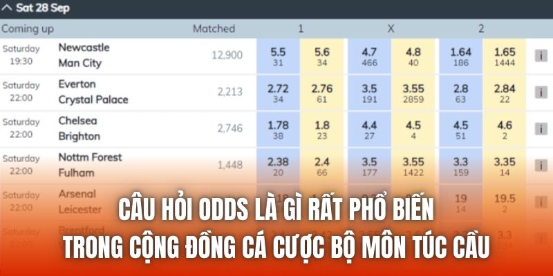 Sự thay đổi khi mở kèo và biến động sau đó báo cho bạn biết nhiều thông tin