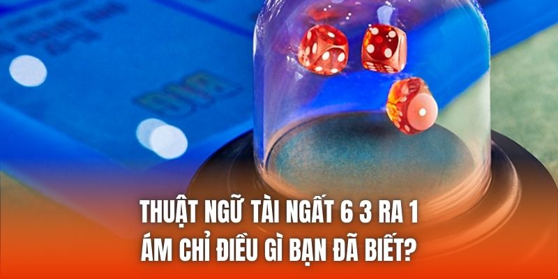 Thuật Ngữ Tài Ngất 6 3 Ra 1 Ám Chỉ Điều Gì Bạn Đã Biết?