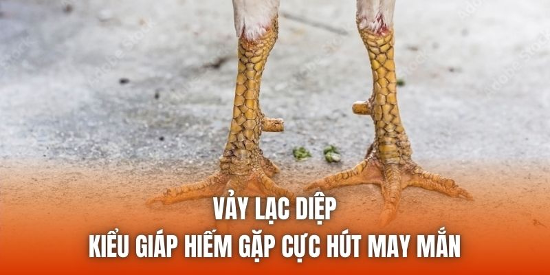 Vảy Lạc Diệp - Kiểu Giáp Hiếm Gặp Cực Hút May Mắn