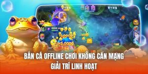 Bắn Cá Offline Chơi Không Cần Mạng - Giải Trí Linh Hoạt