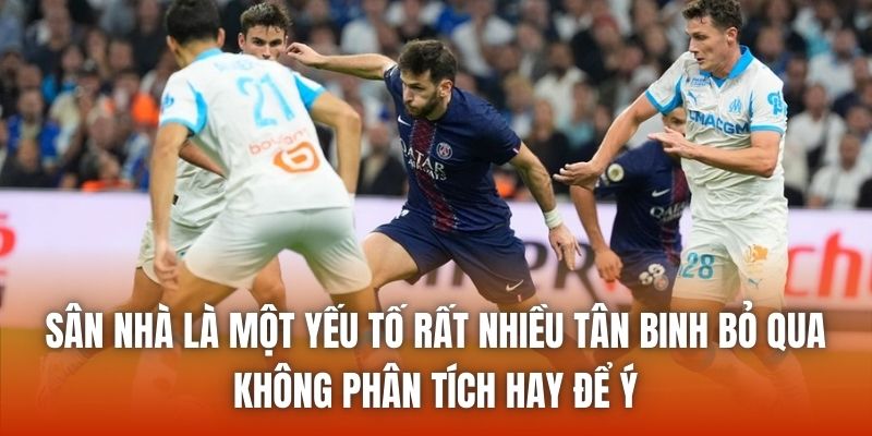 Sân nhà là một yếu tố rất nhiều tân binh bỏ qua, không phân tích hay để ý